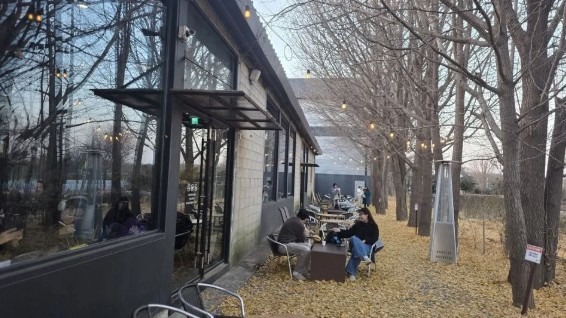 Screenshot 2025-12-18 at 13.45.07.JPG